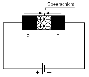 Eine pn-Verbindung mit angelegter Durchlassspannung